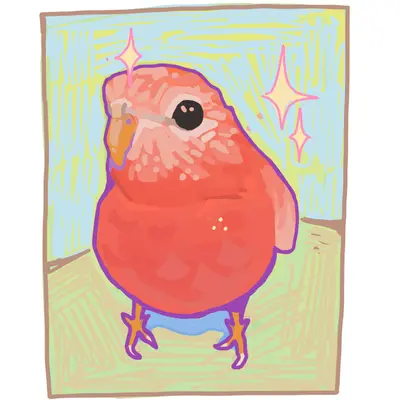 birb pin.PNG